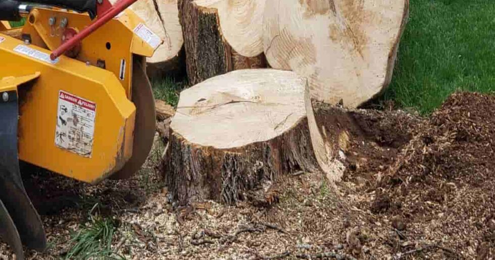 Stump Grinding