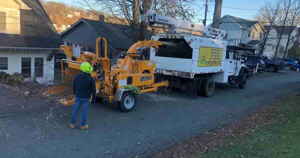 Wood Chipping & Disposal